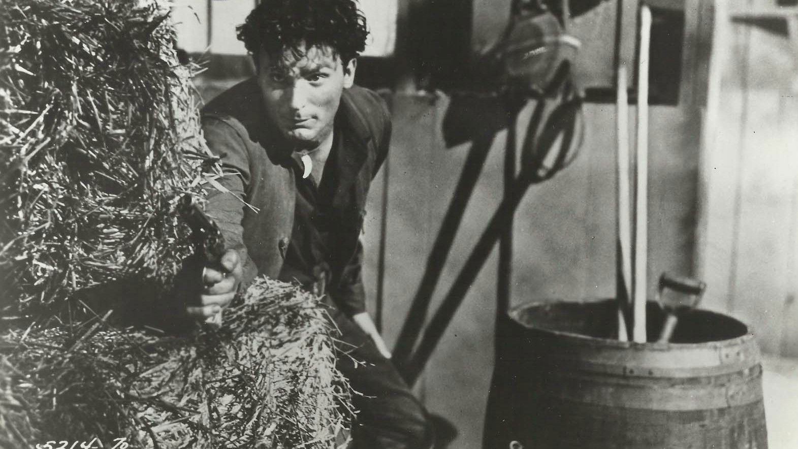 Backdrop for Son of Belle Starr