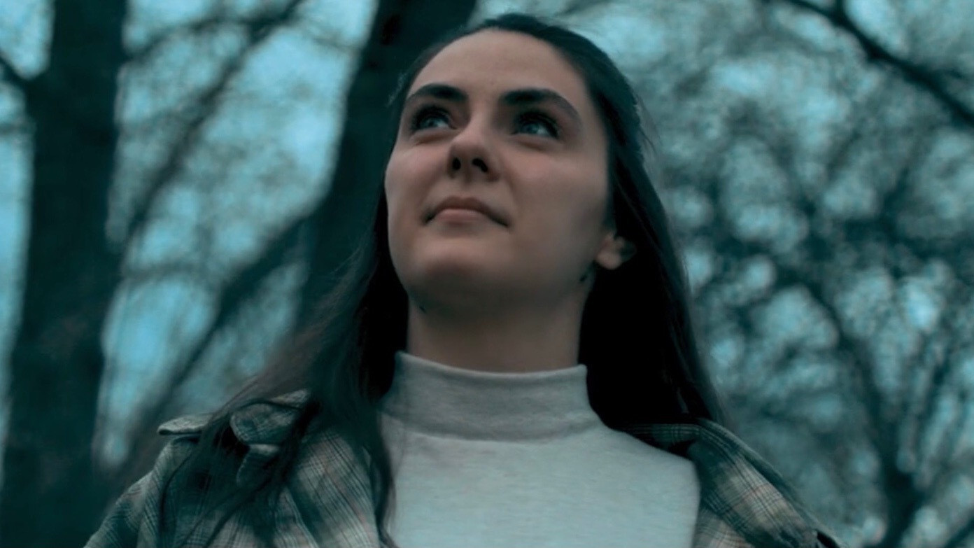 Backdrop for Rhododendron