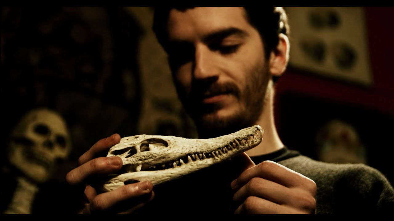 Backdrop for Krokodyle