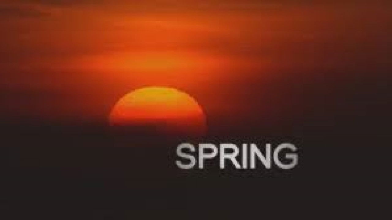 Backdrop for Wild Kingdom