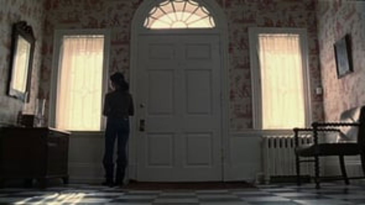 Backdrop for My Turtle's Name Is Dudley