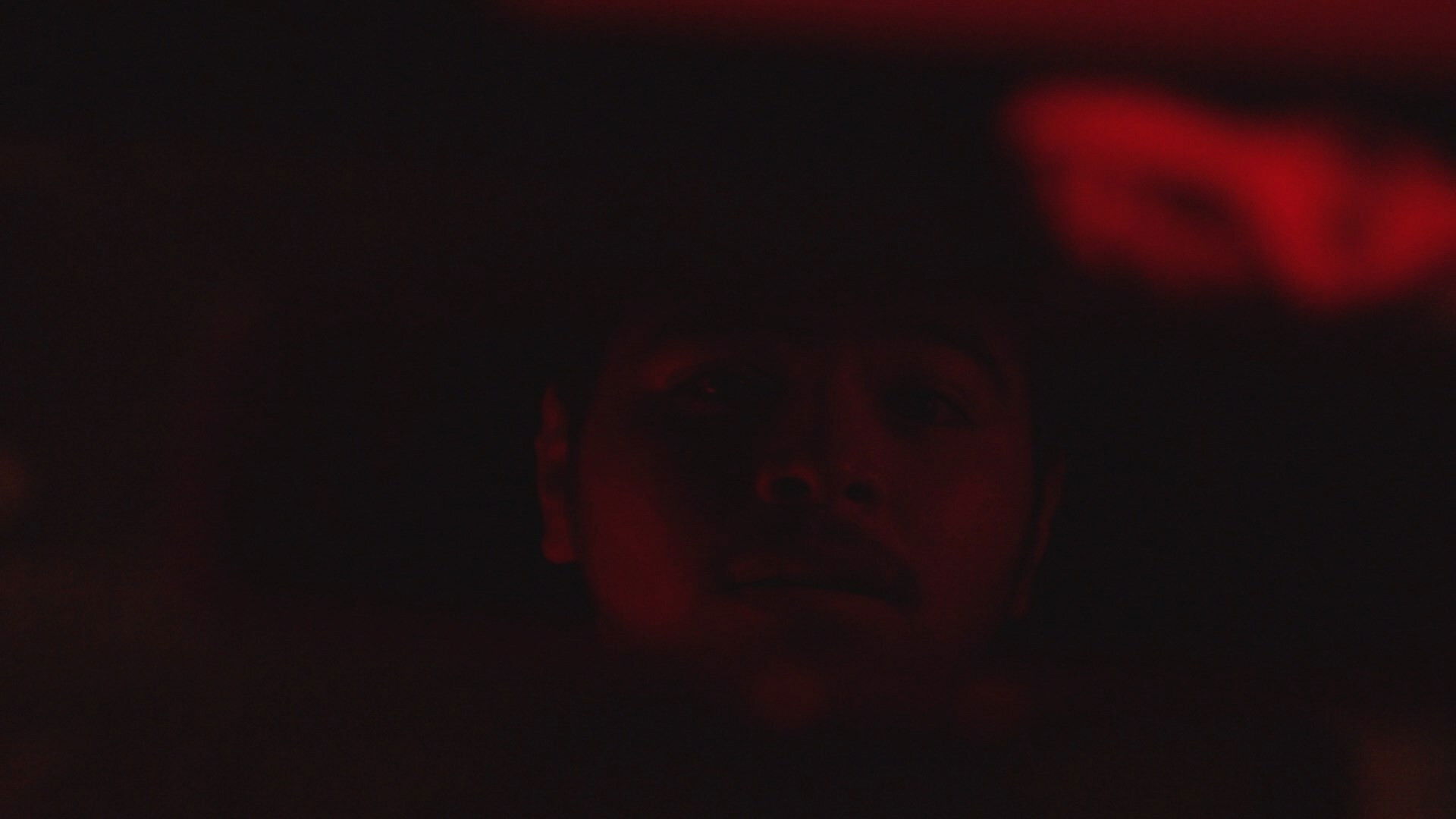 Backdrop for Luna Roja