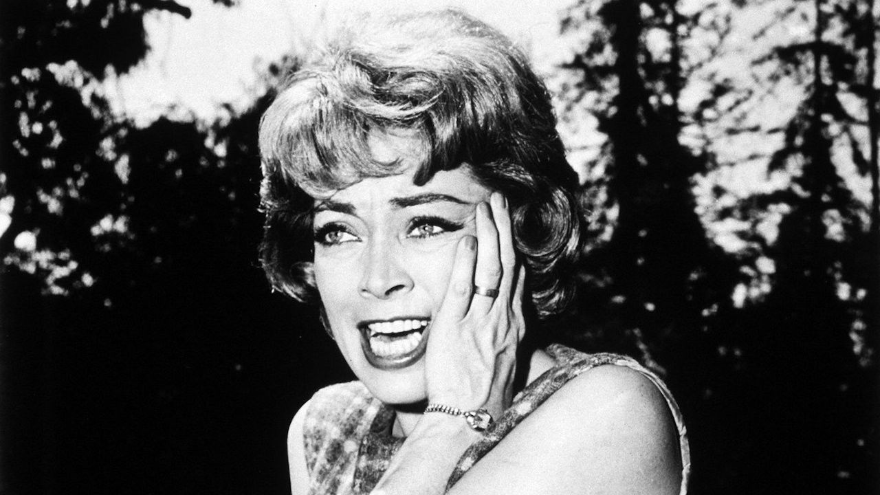 Backdrop for Two Dollar Bettor