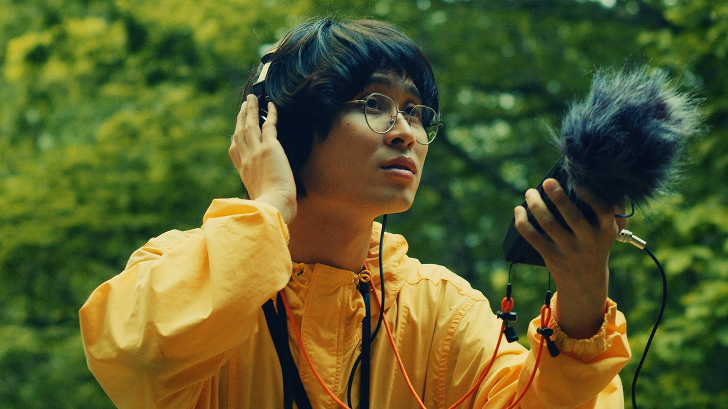 Backdrop for Leading Your Birds