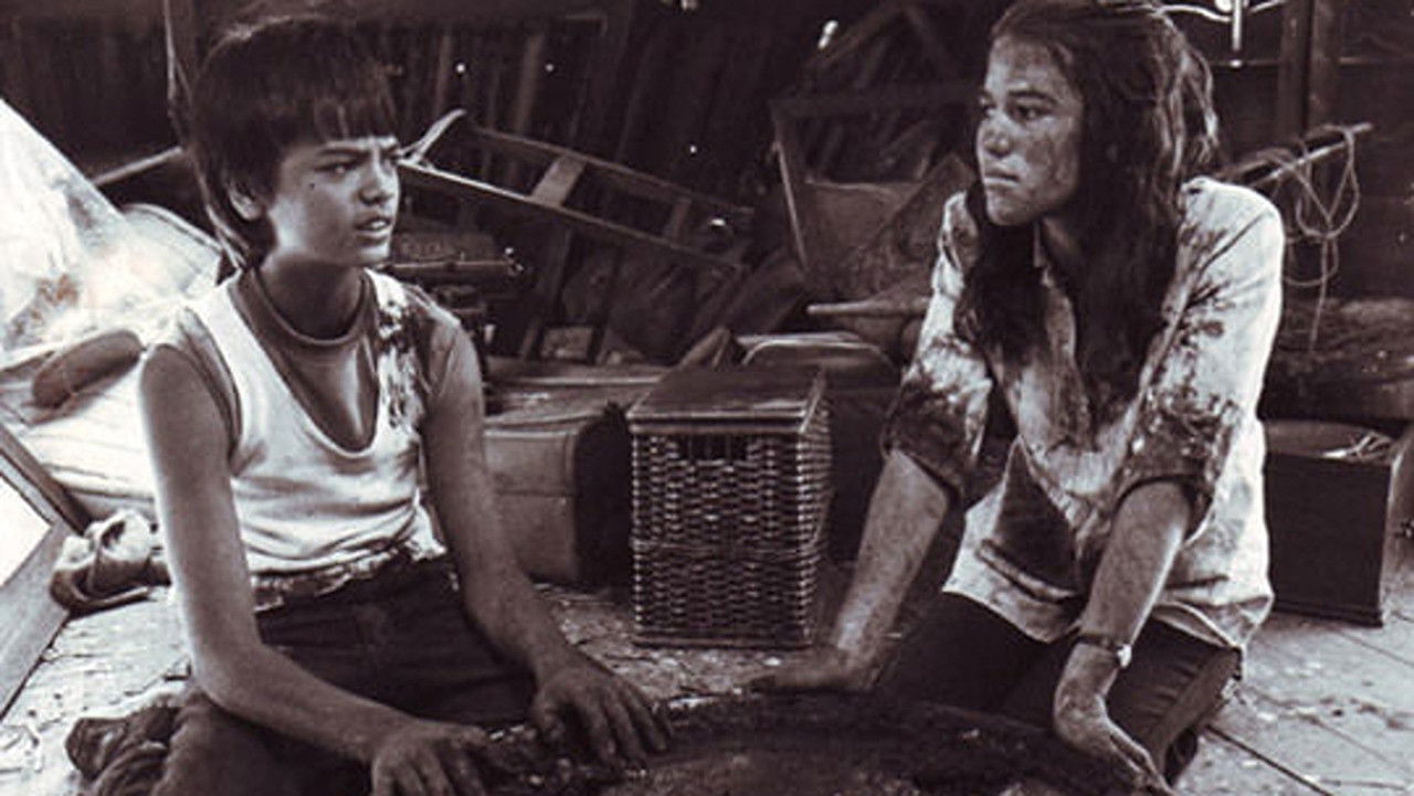 Backdrop for Children of the Dog Star