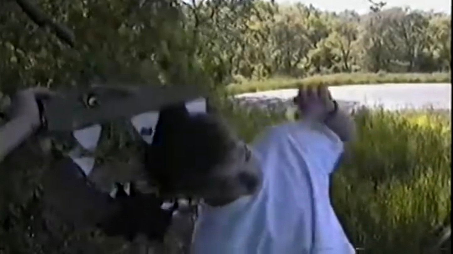 Backdrop for Goshzilla