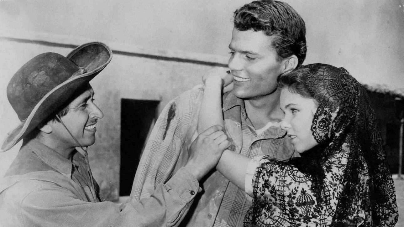 Backdrop for The Young Land