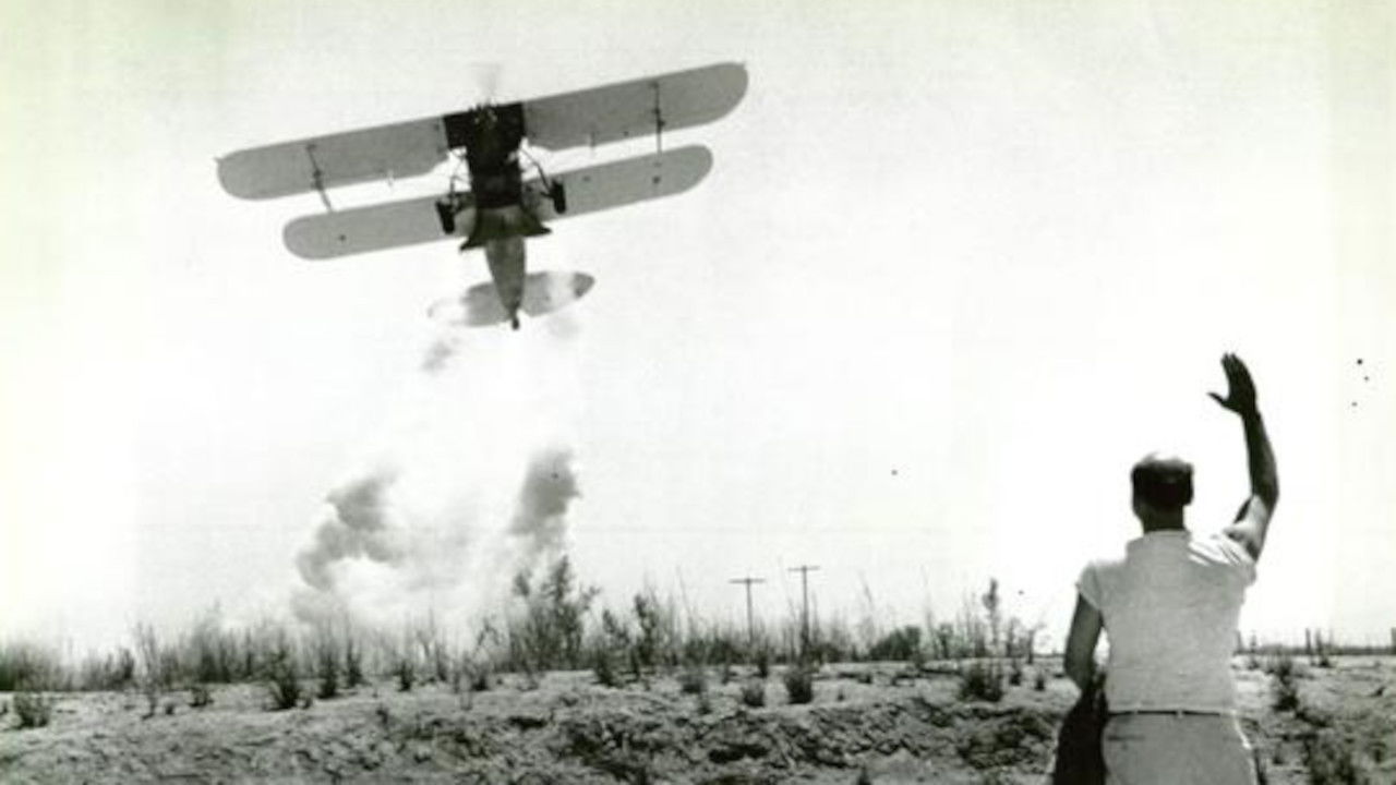 Backdrop for No Place to Land