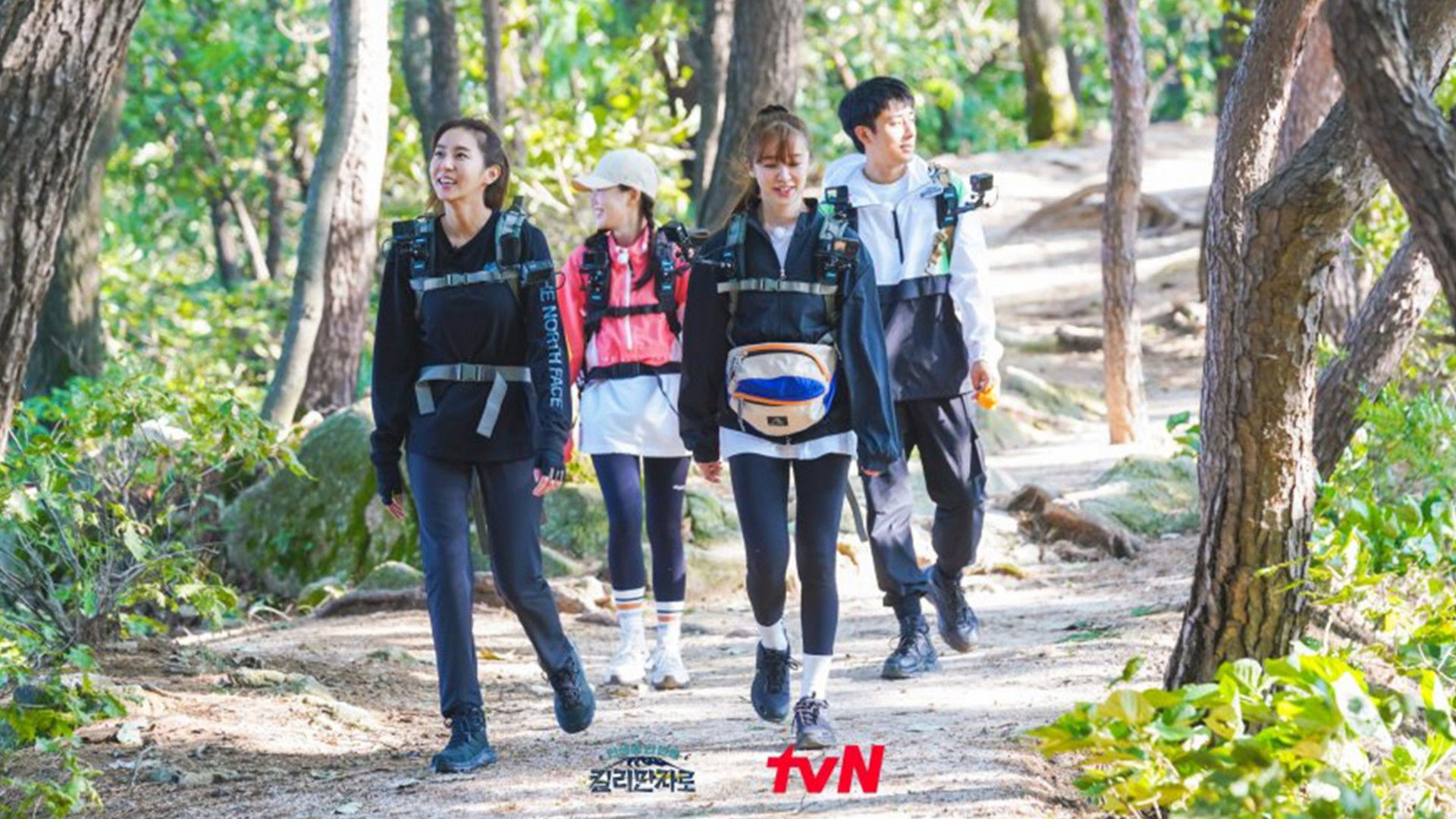 Backdrop for Climbing Kilimanjaro: Once-in-a Lifetime Experience