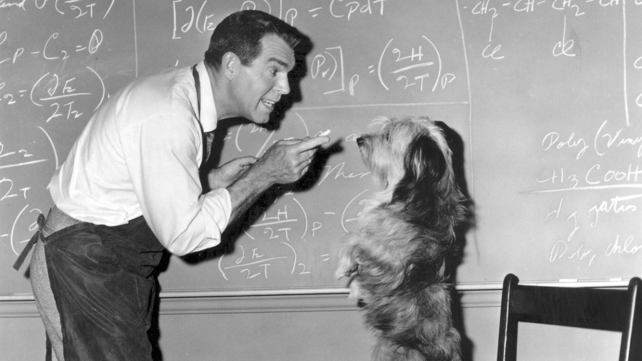 Backdrop for The Absent-Minded Professor