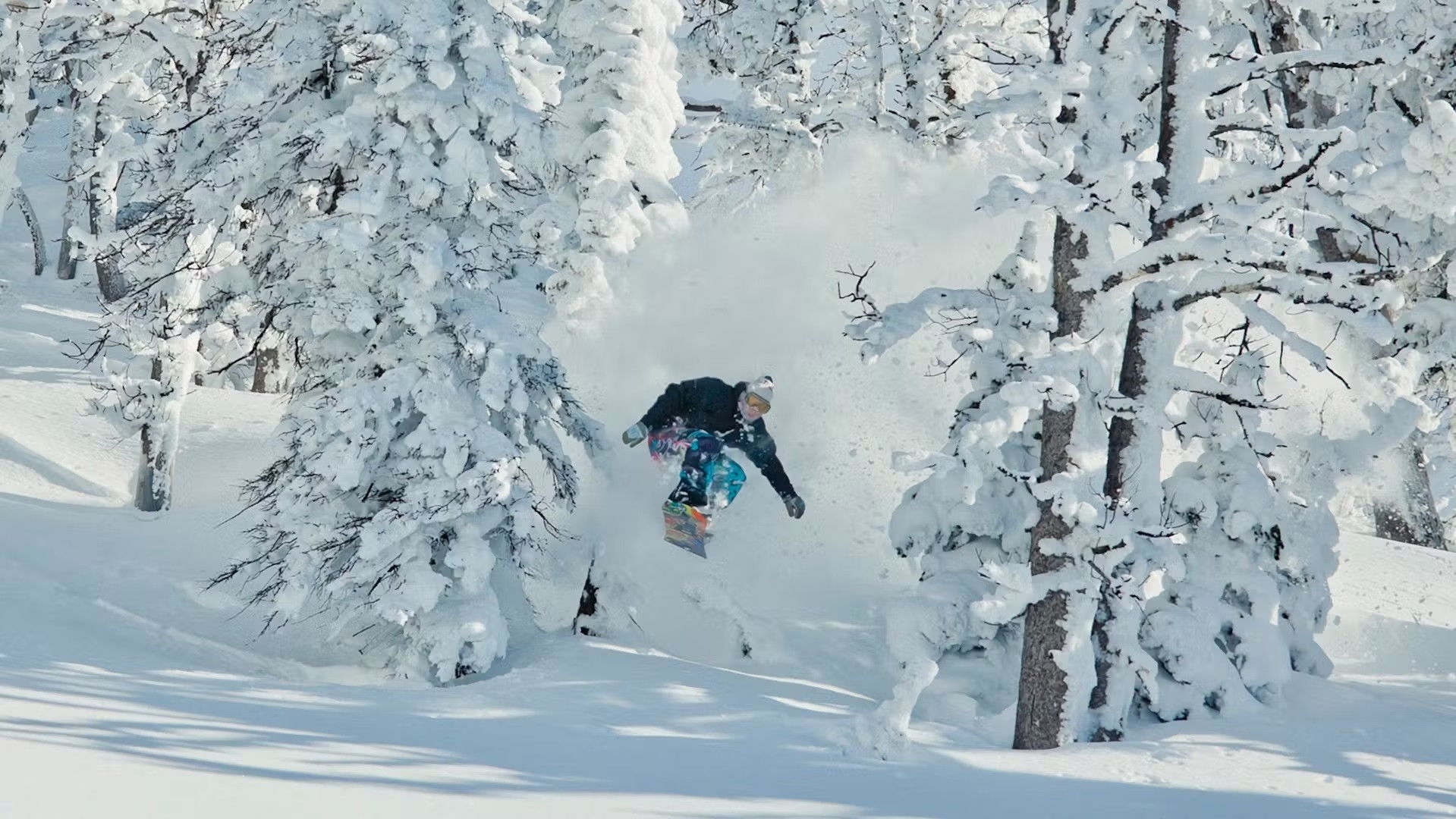 Backdrop for Art of Flight: The Series