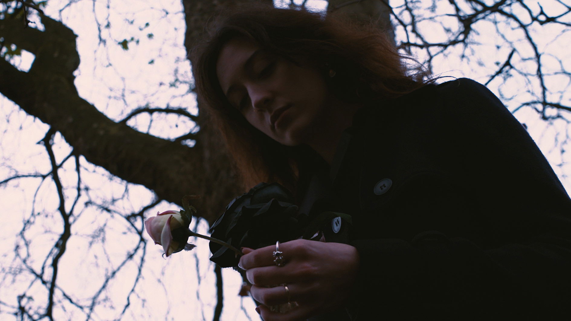 Backdrop for Relinquo