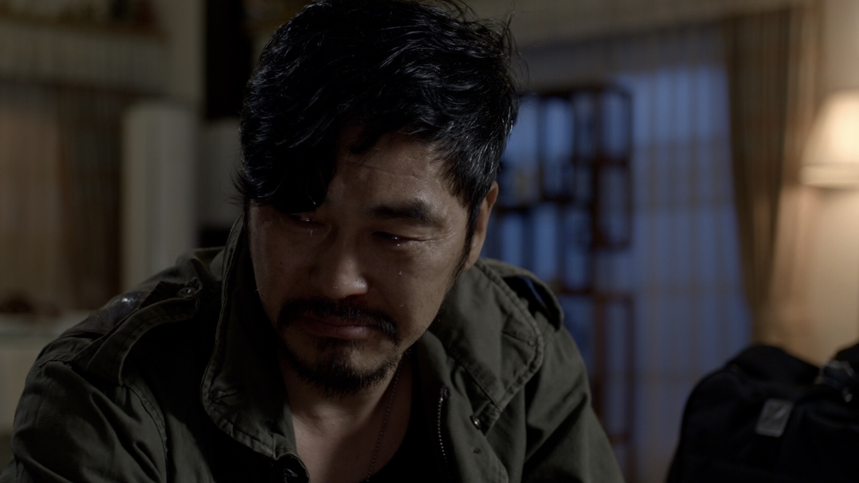 Backdrop for Dogs in the House