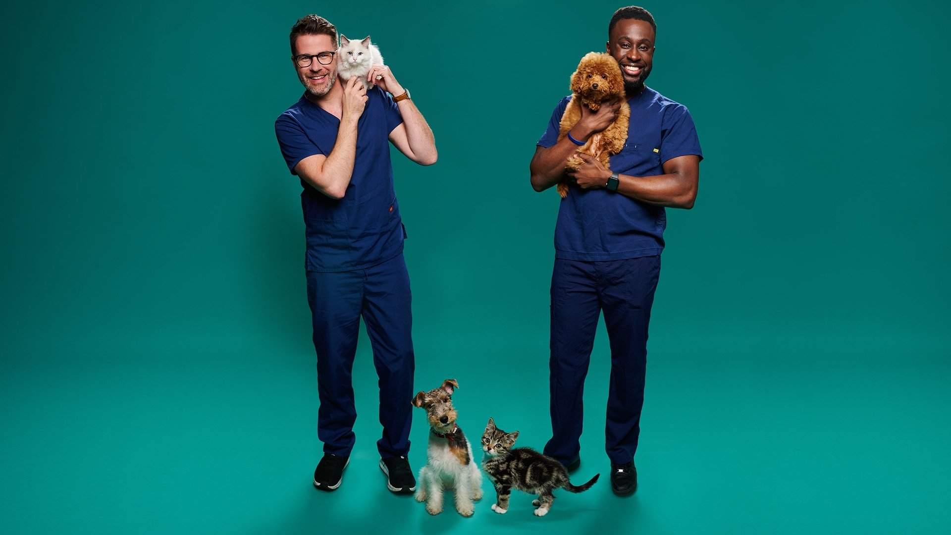 Backdrop for Fur Babies