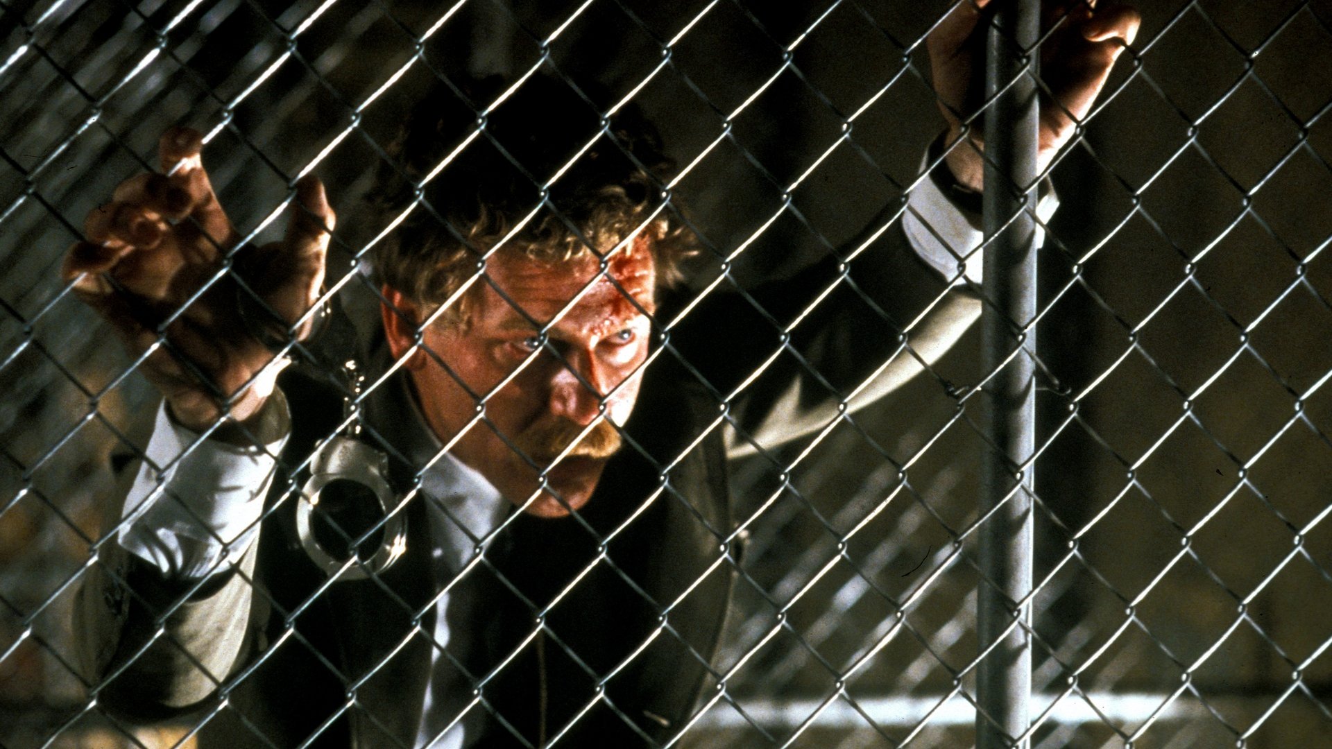 Backdrop for The Black Marble