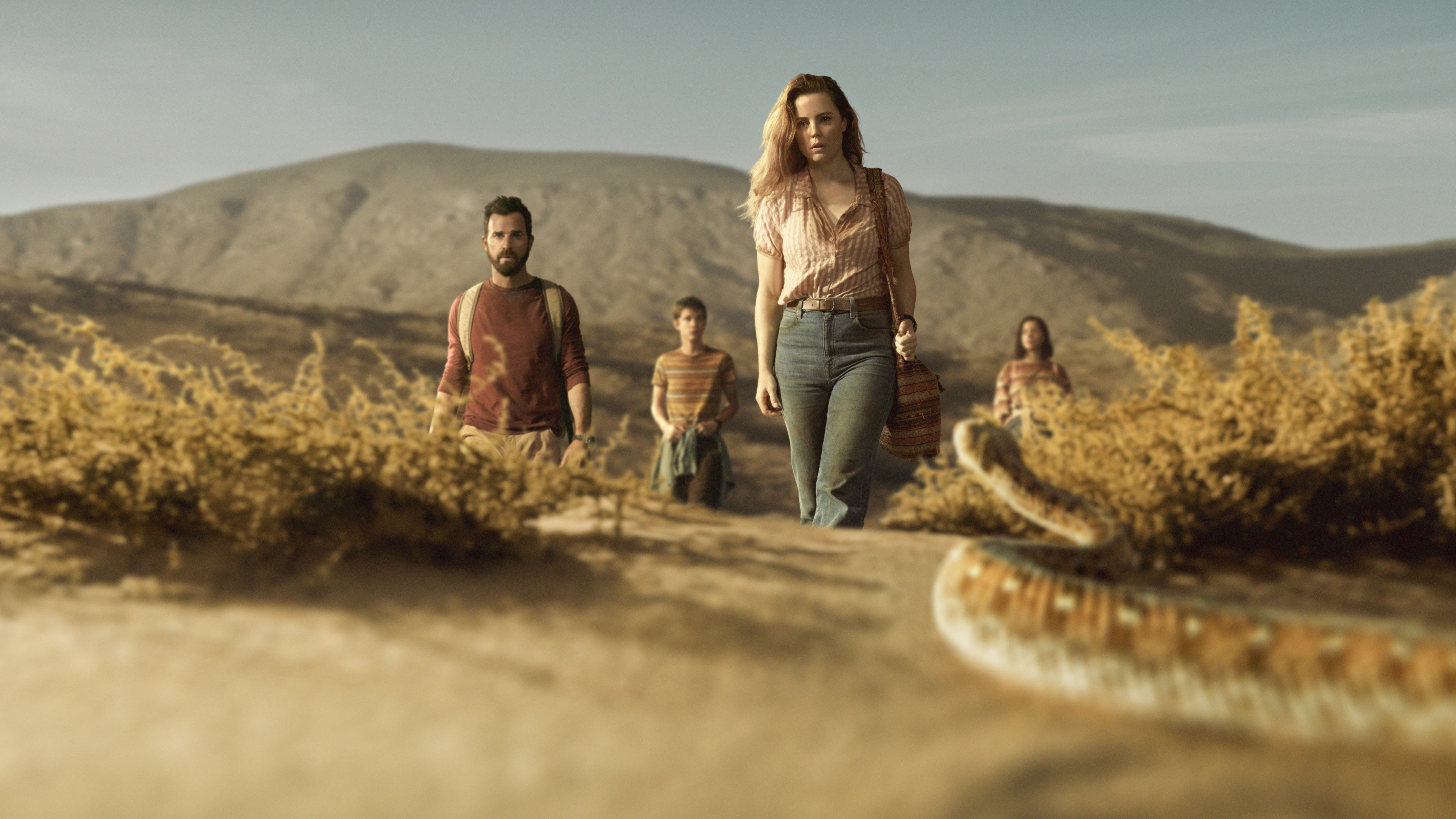 Backdrop for The Mosquito Coast