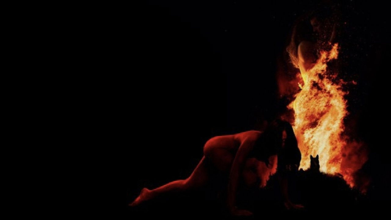 Backdrop for Dog Skin and Other Stories