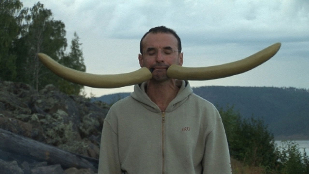 Backdrop for Birmingham Ornament 2