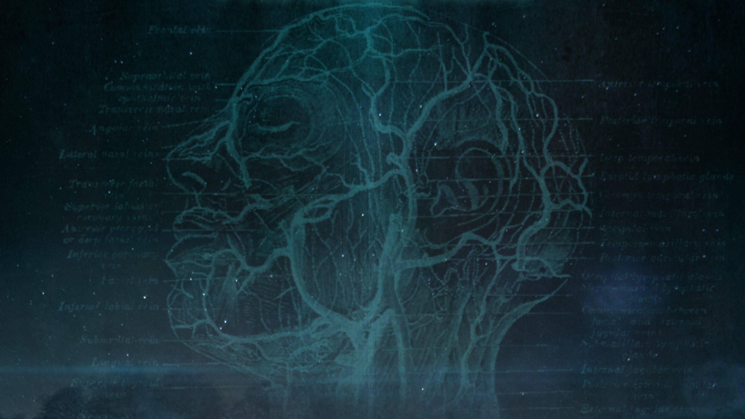 Backdrop for Capel Green