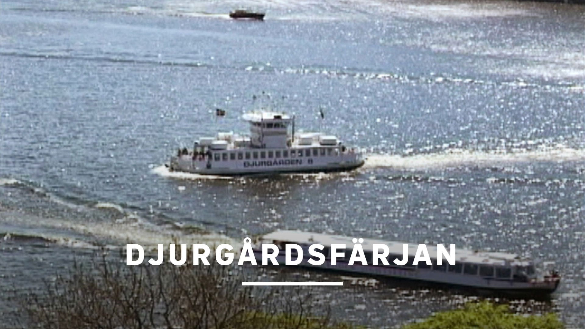 Backdrop for Djurgårdsfärjan