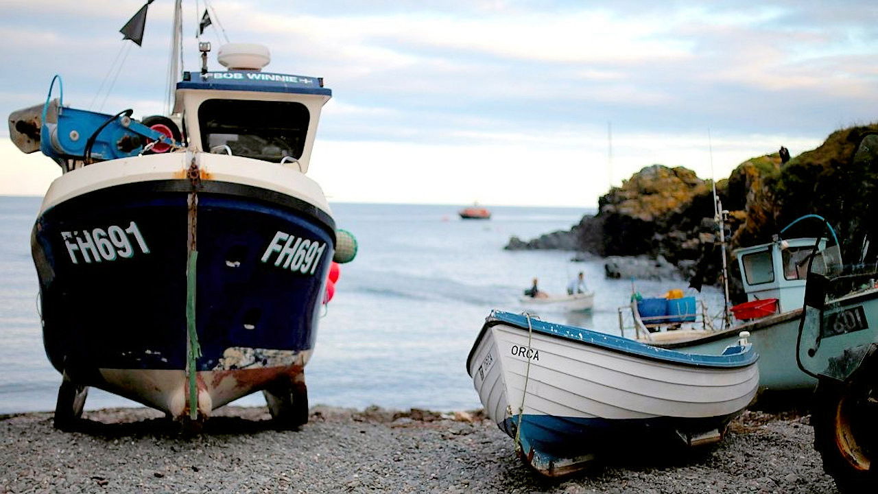 Backdrop for The Fisherman's Apprentice with Monty Halls