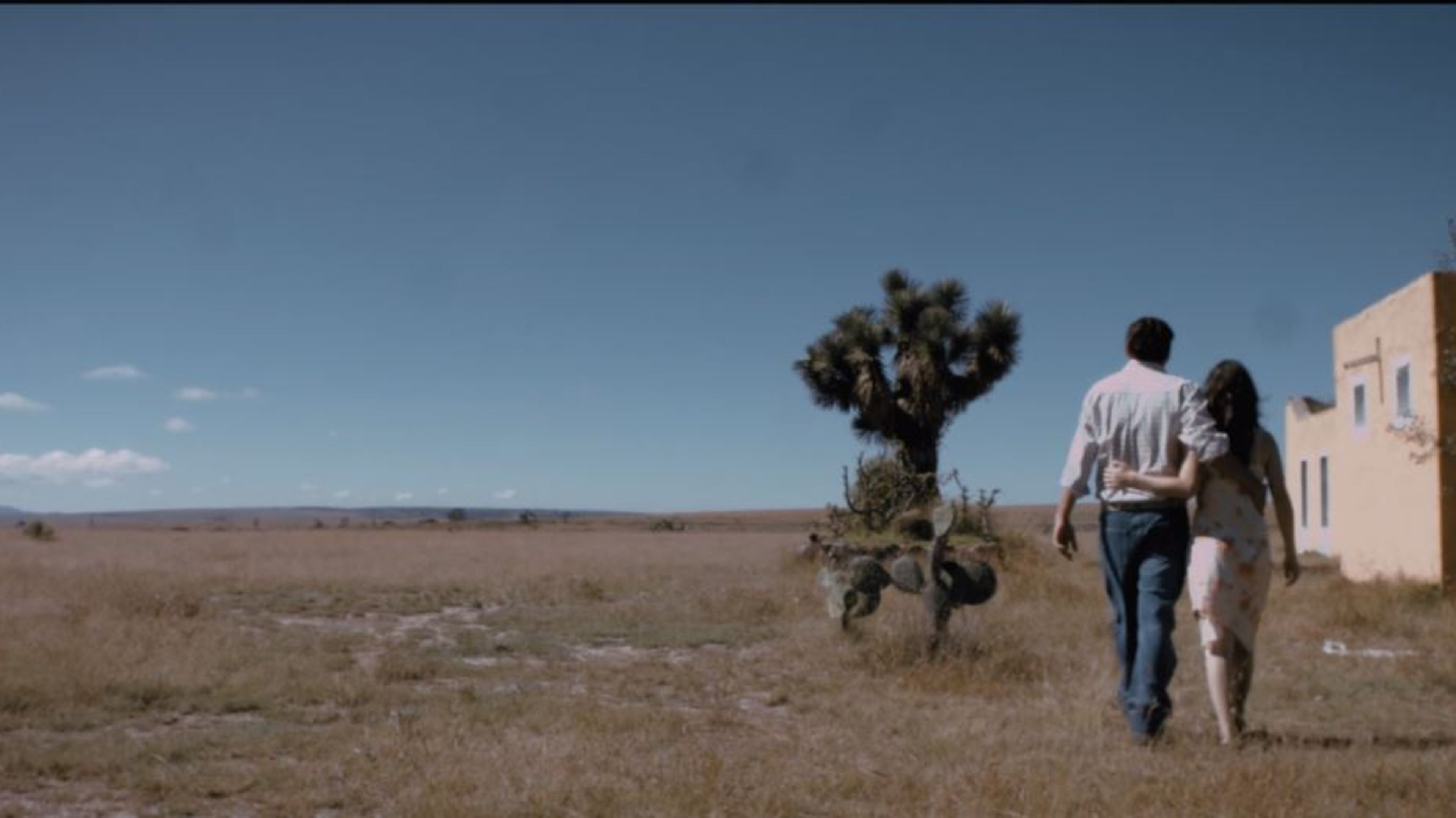 Backdrop for There Is a Light That Always Goes Out