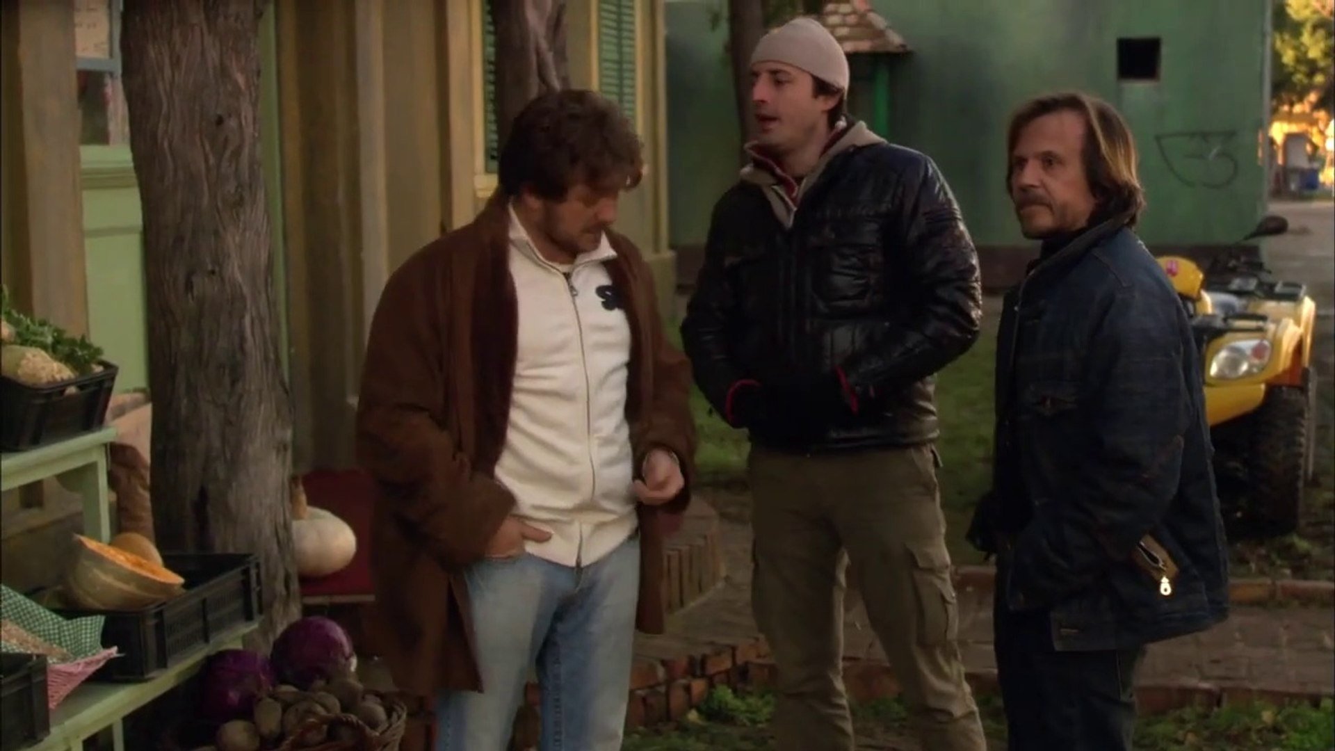 Backdrop for Storks in the Fog