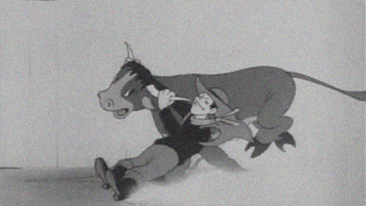 Backdrop for Saps in Chaps