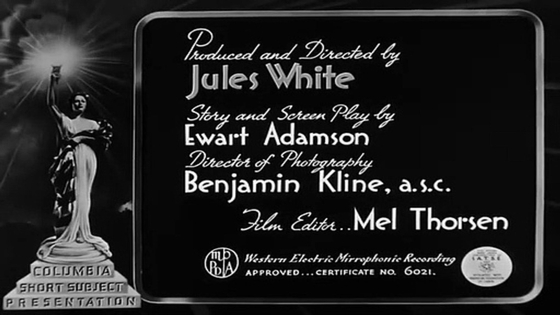 Backdrop for Money Squawks