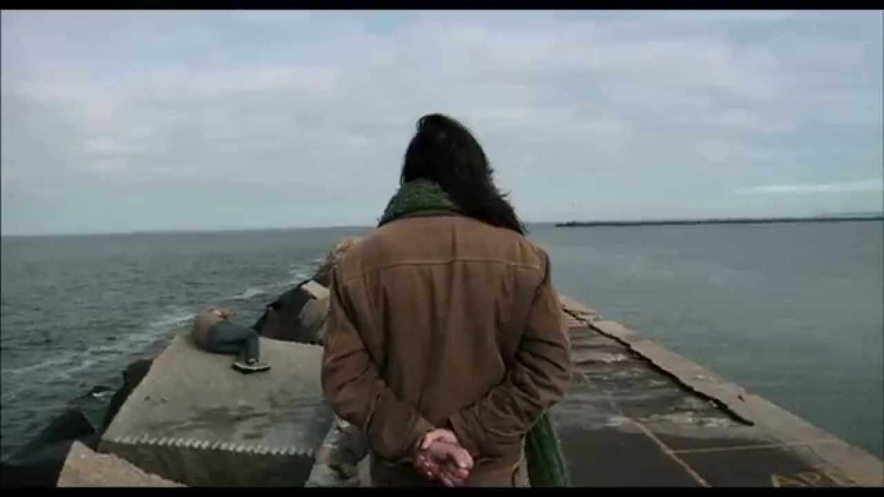 Backdrop for Camel on the Tarmac