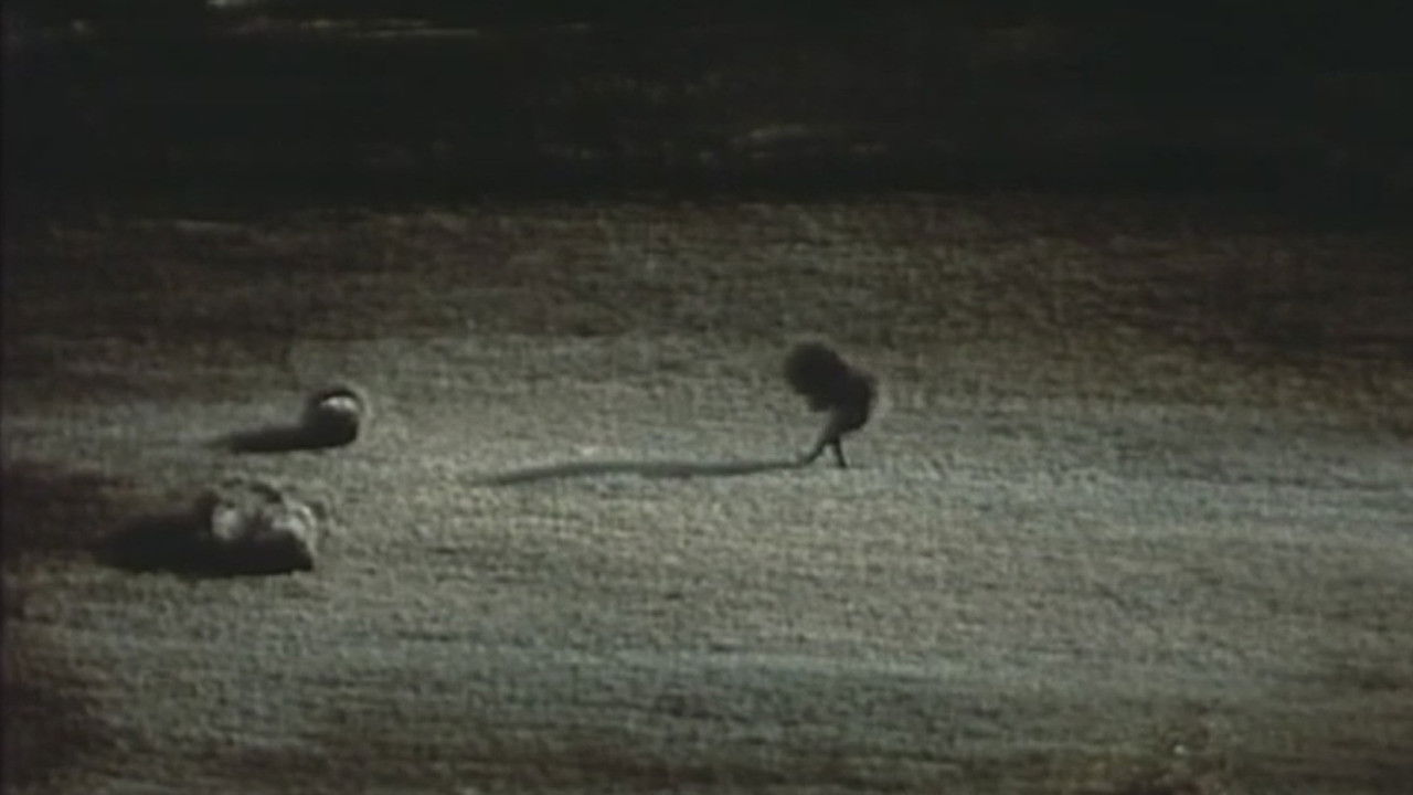 Backdrop for Breakfast