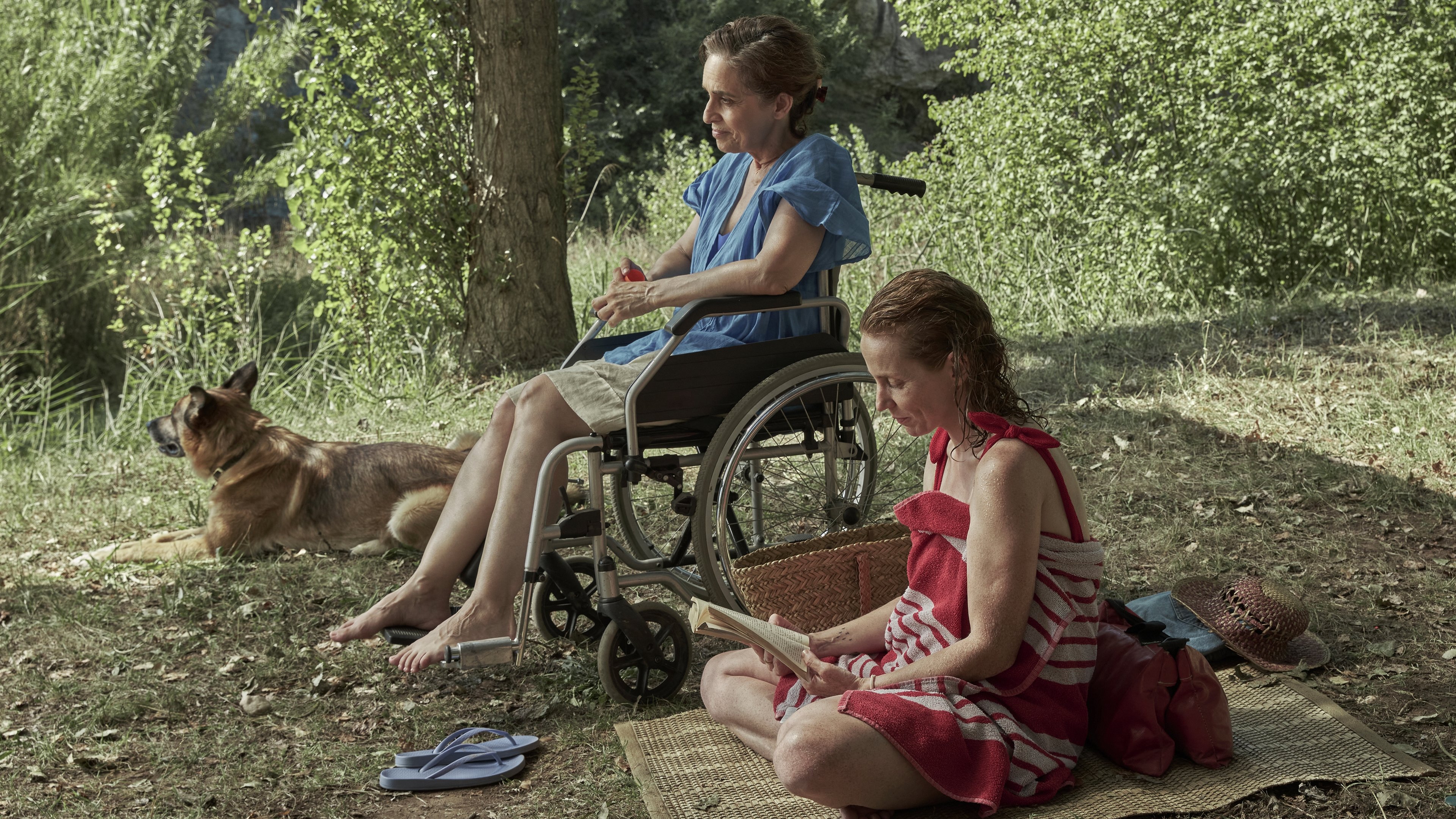 Backdrop for Little Loves