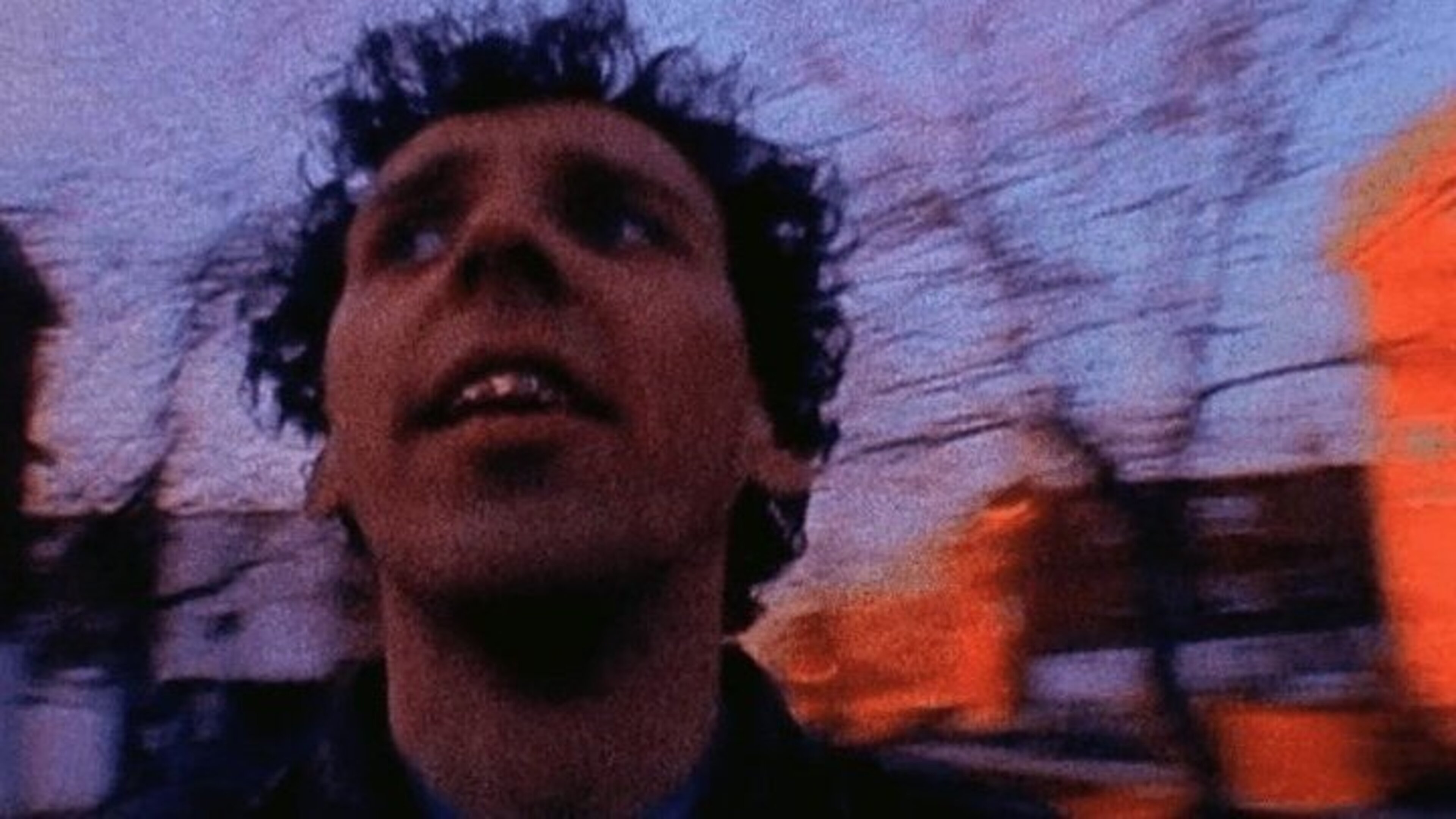 Backdrop for Julien Donkey-Boy