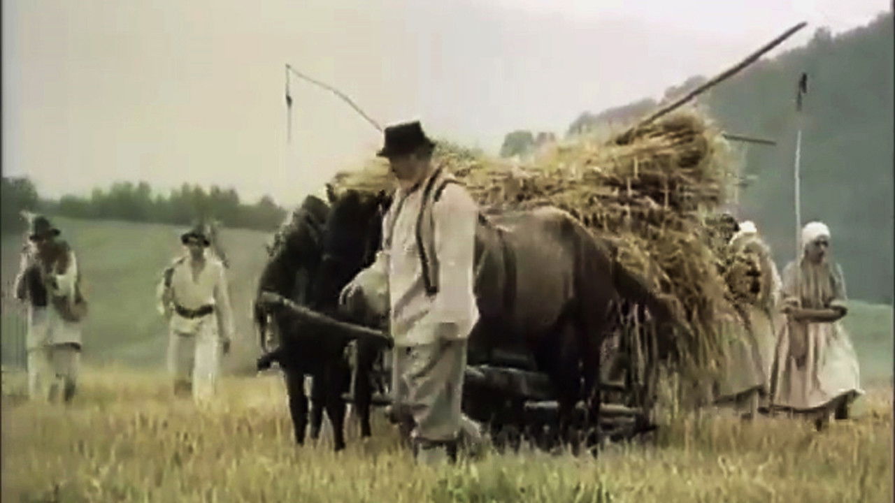 Backdrop for Handfuls