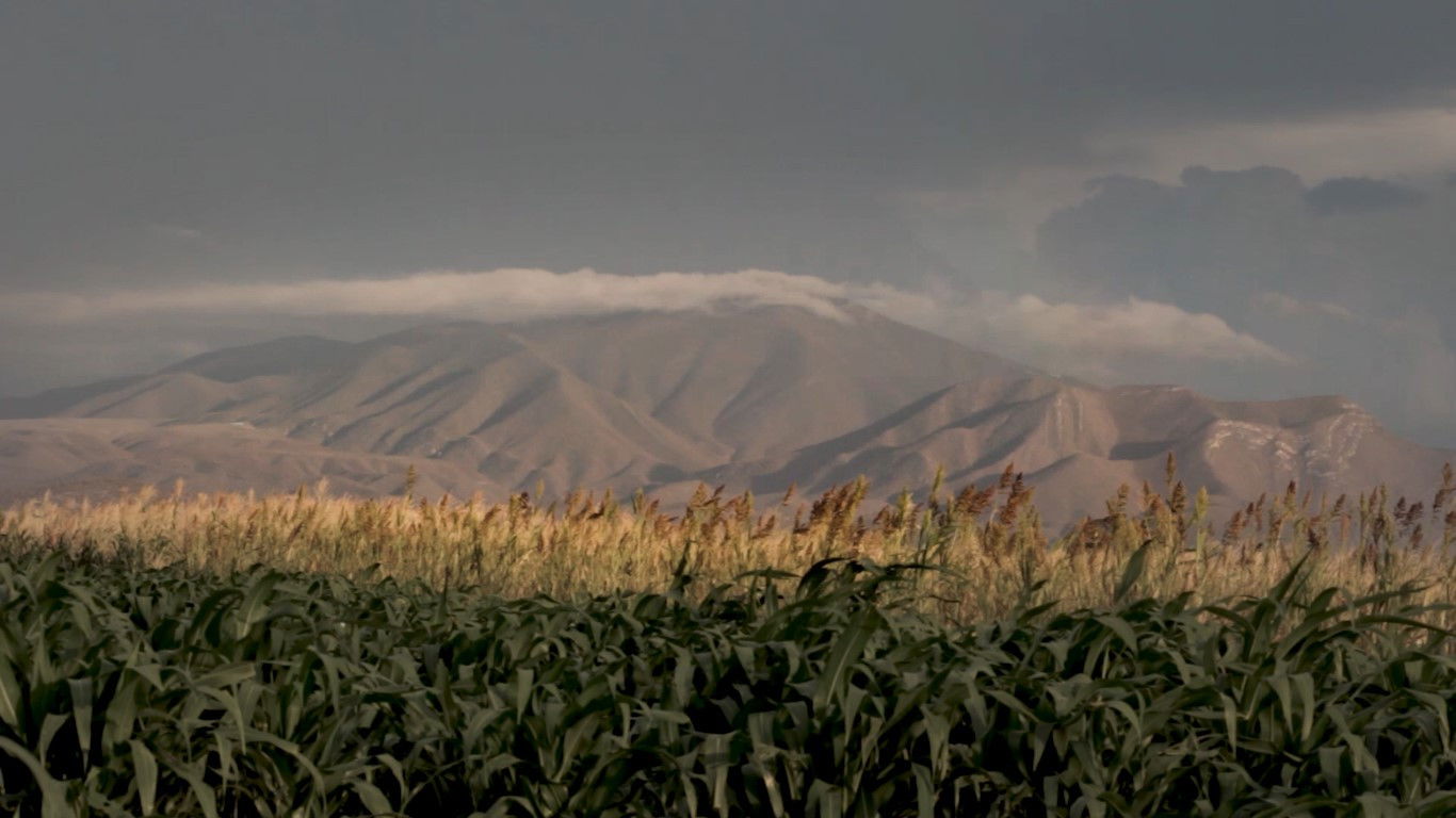Backdrop for Como Si Estuvieras