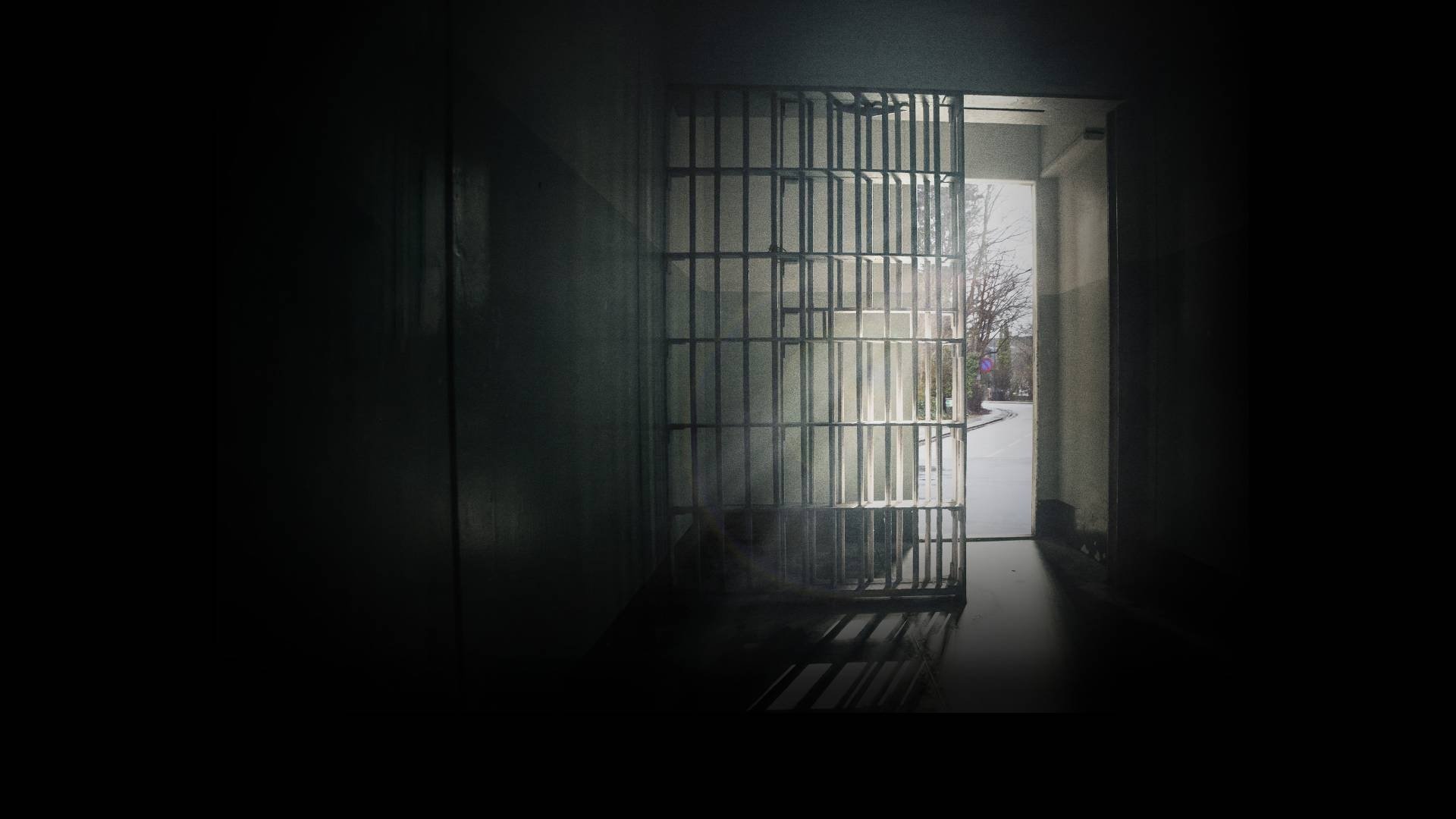 Backdrop for For farlig til frihed?