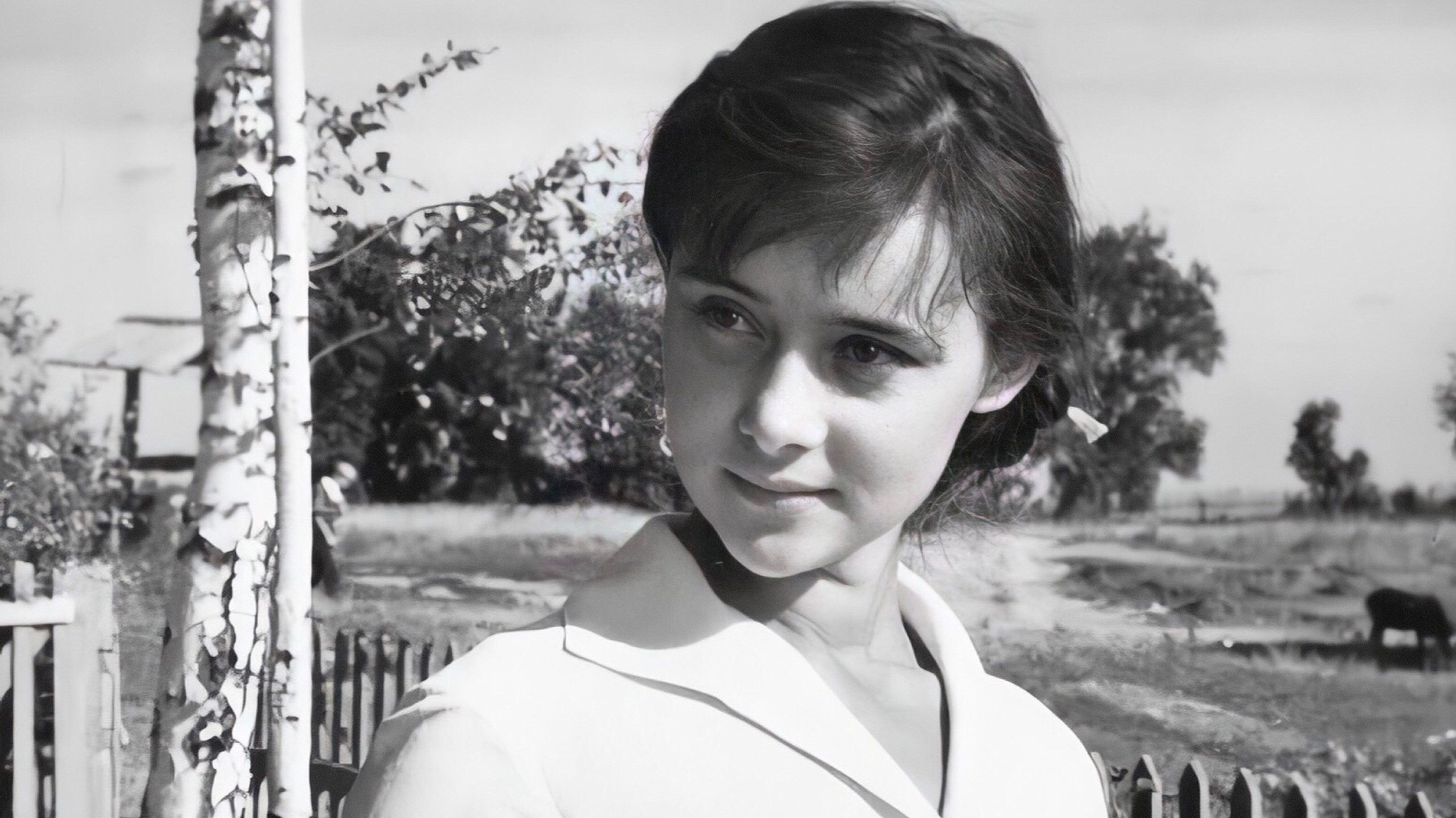 Backdrop for Until Next Spring