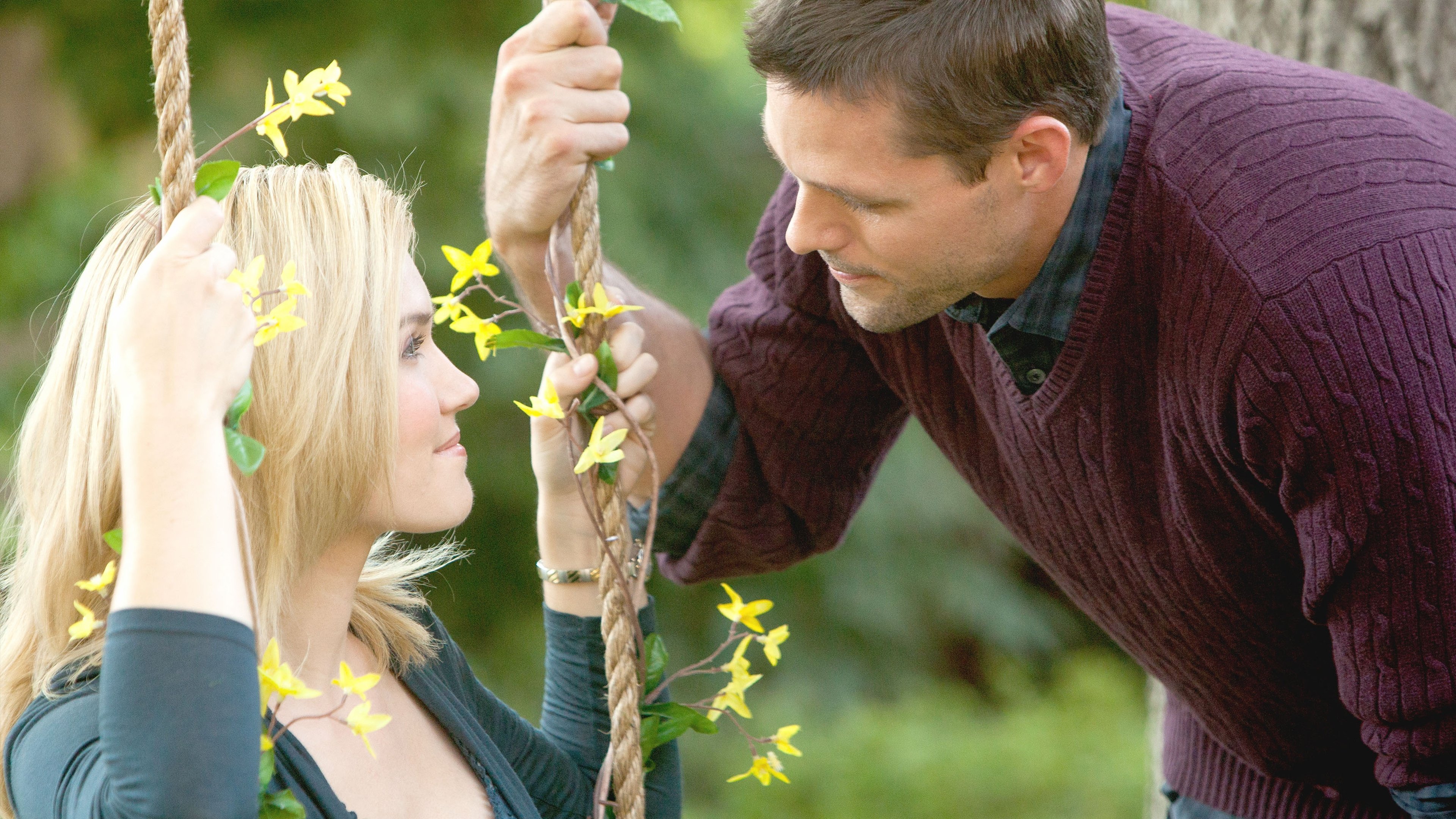 Backdrop for The Thanksgiving House