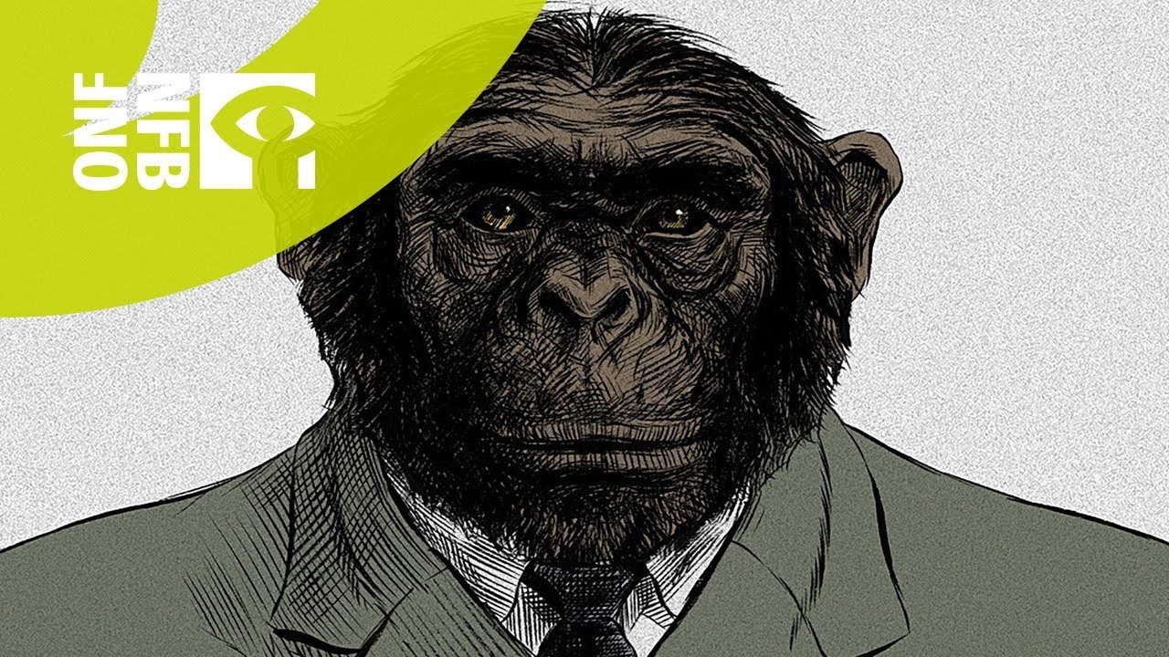 Backdrop for From the Big Bang to Tuesday Morning