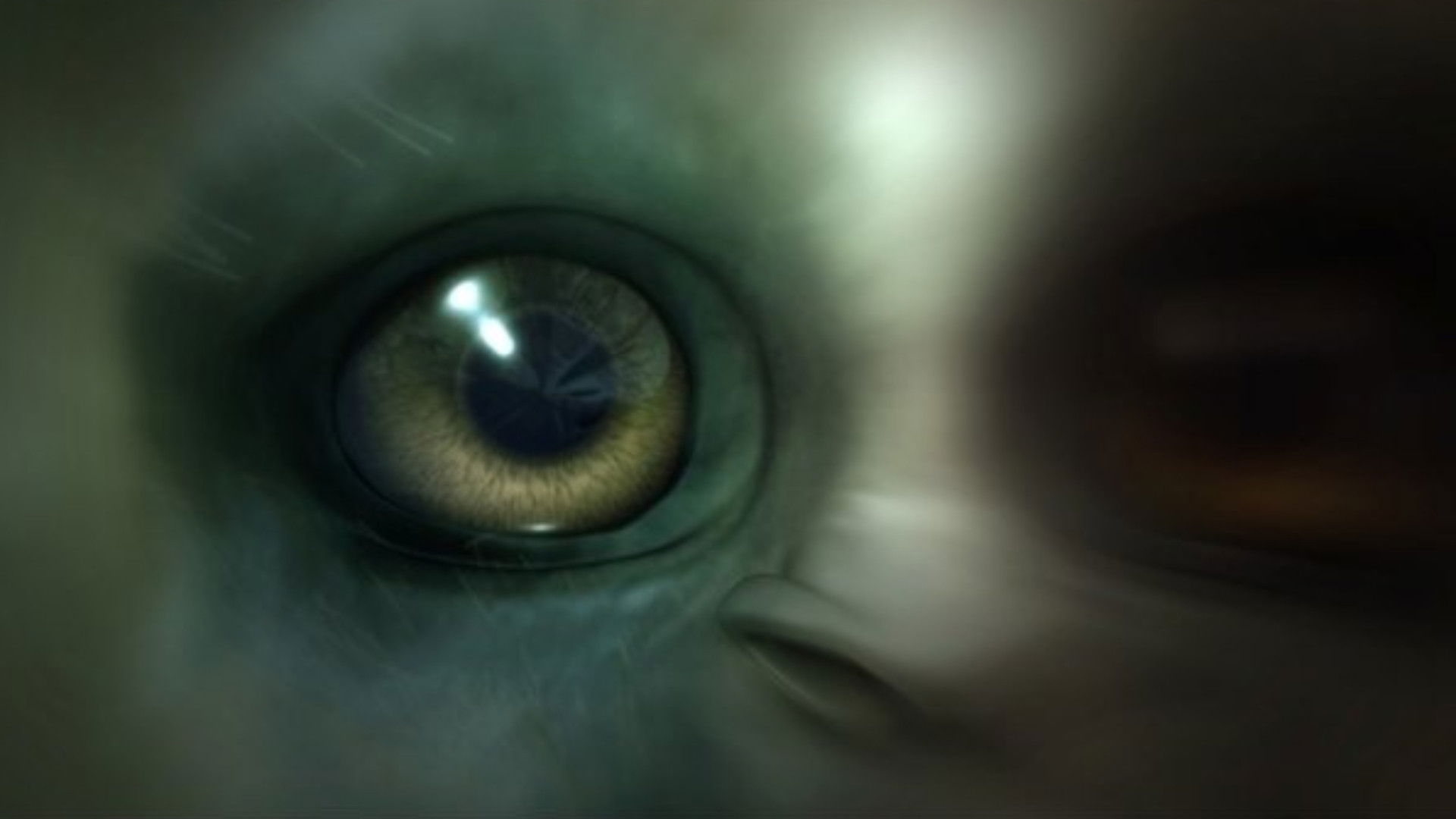 Backdrop for BlackFace: The Sacred Legend