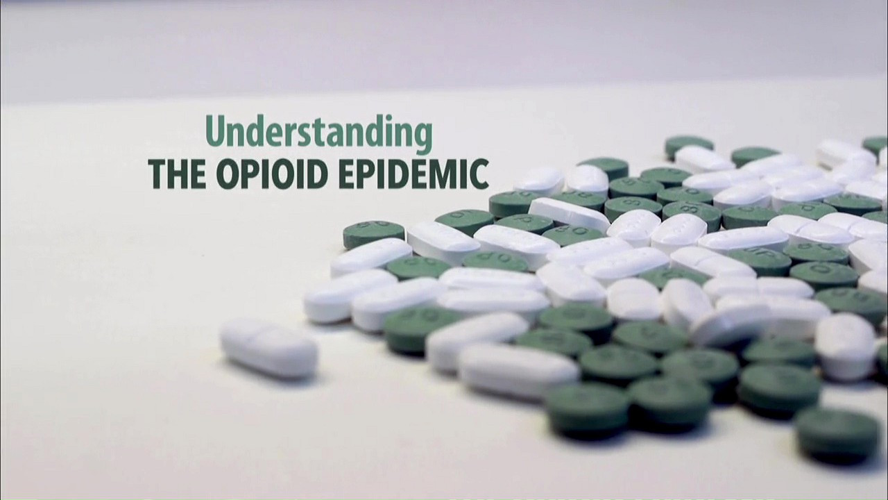 Backdrop for Understanding the Opioid Epidemic