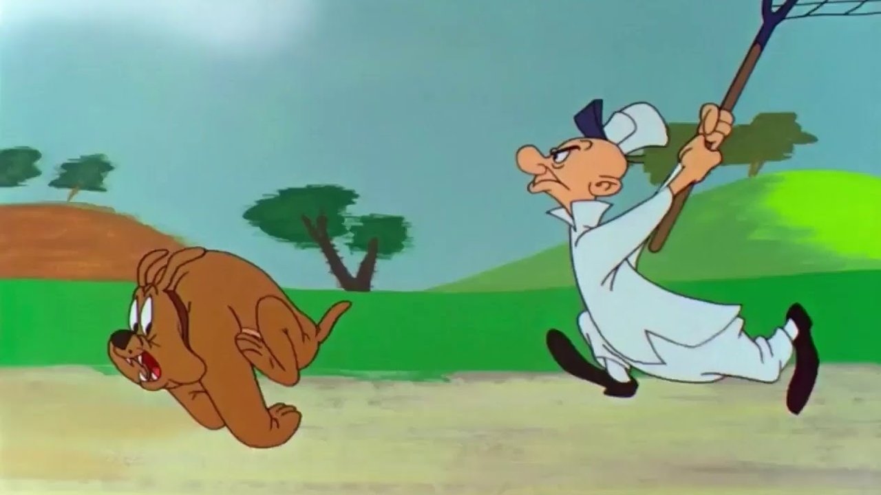 Backdrop for Fair and Worm-er