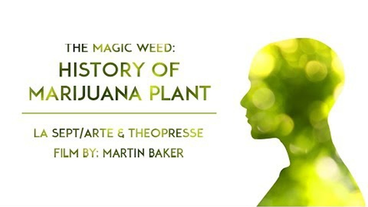 Backdrop for The Magic Weed: History of Marijuana Plant