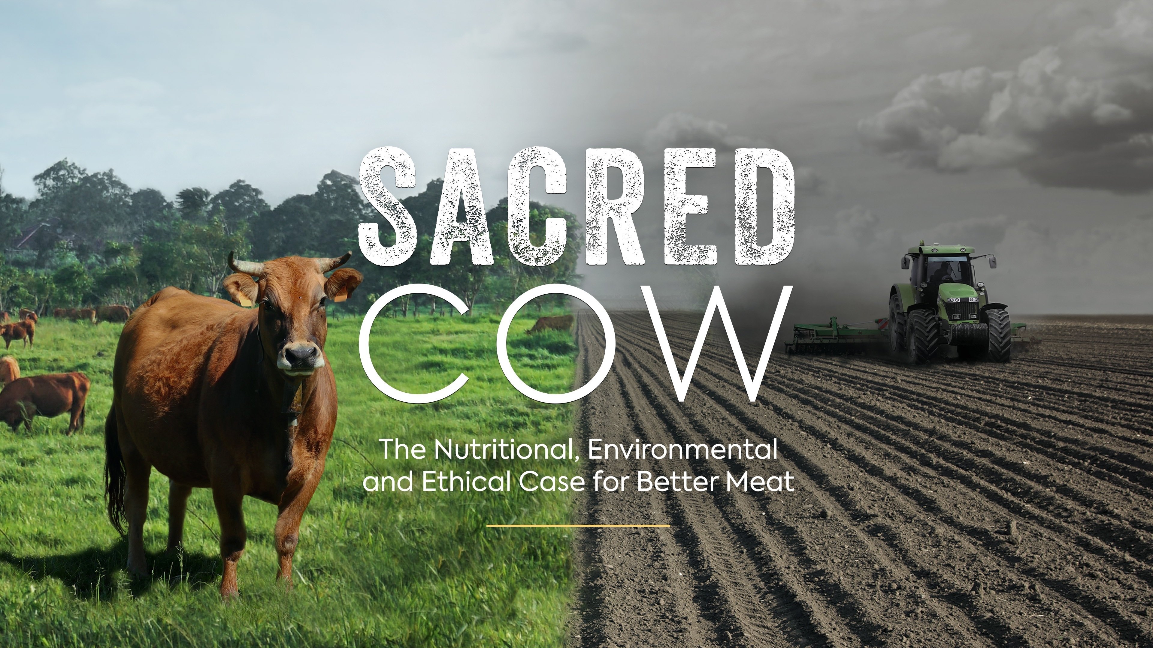 Backdrop for Sacred Cow: The Nutritional, Environmental and Ethical Case for Better Meat