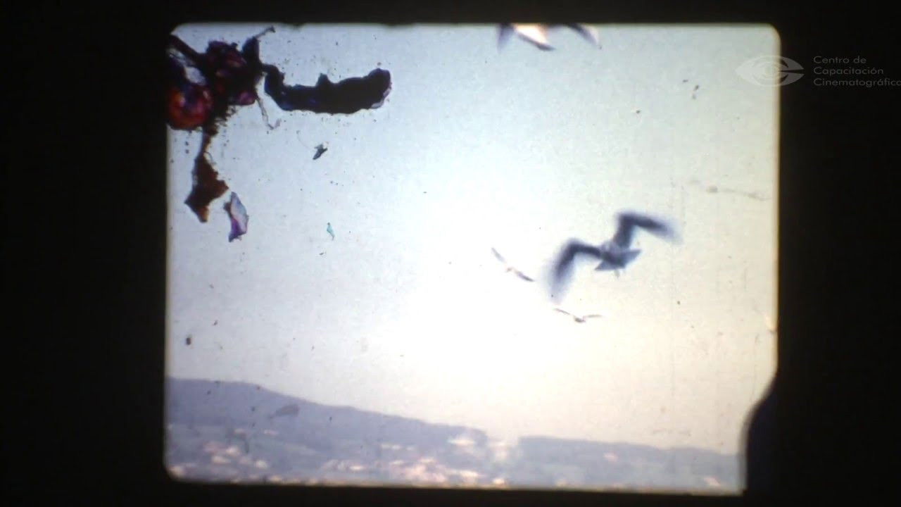 Backdrop for Lupulos' House