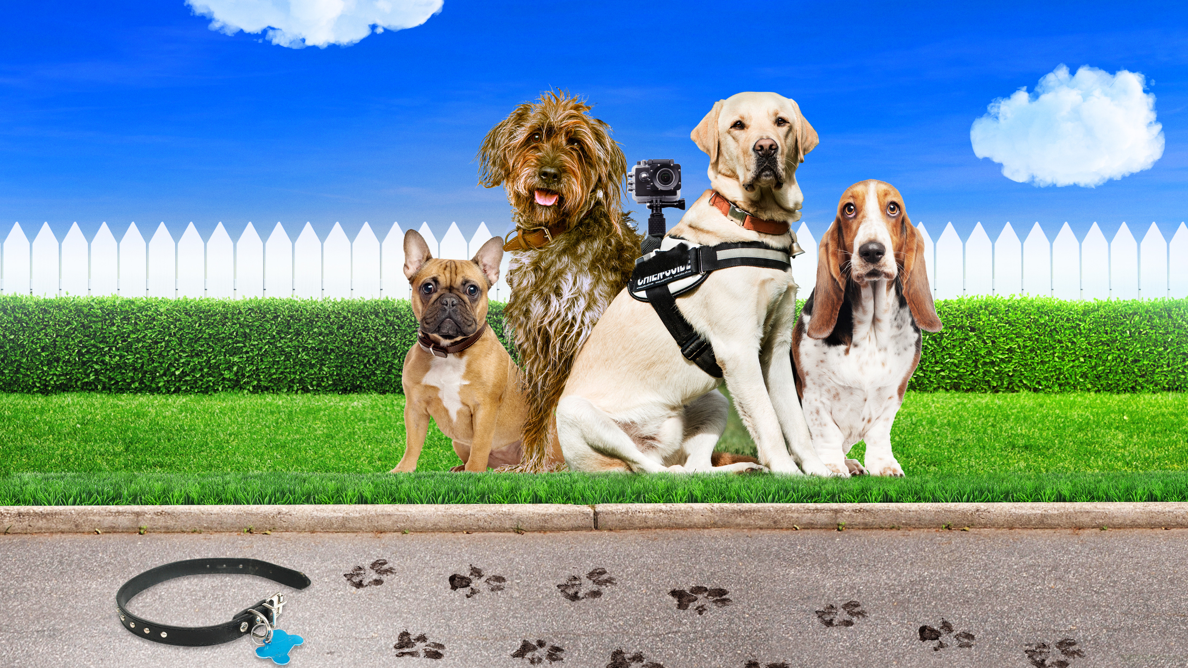 Backdrop for Trackers