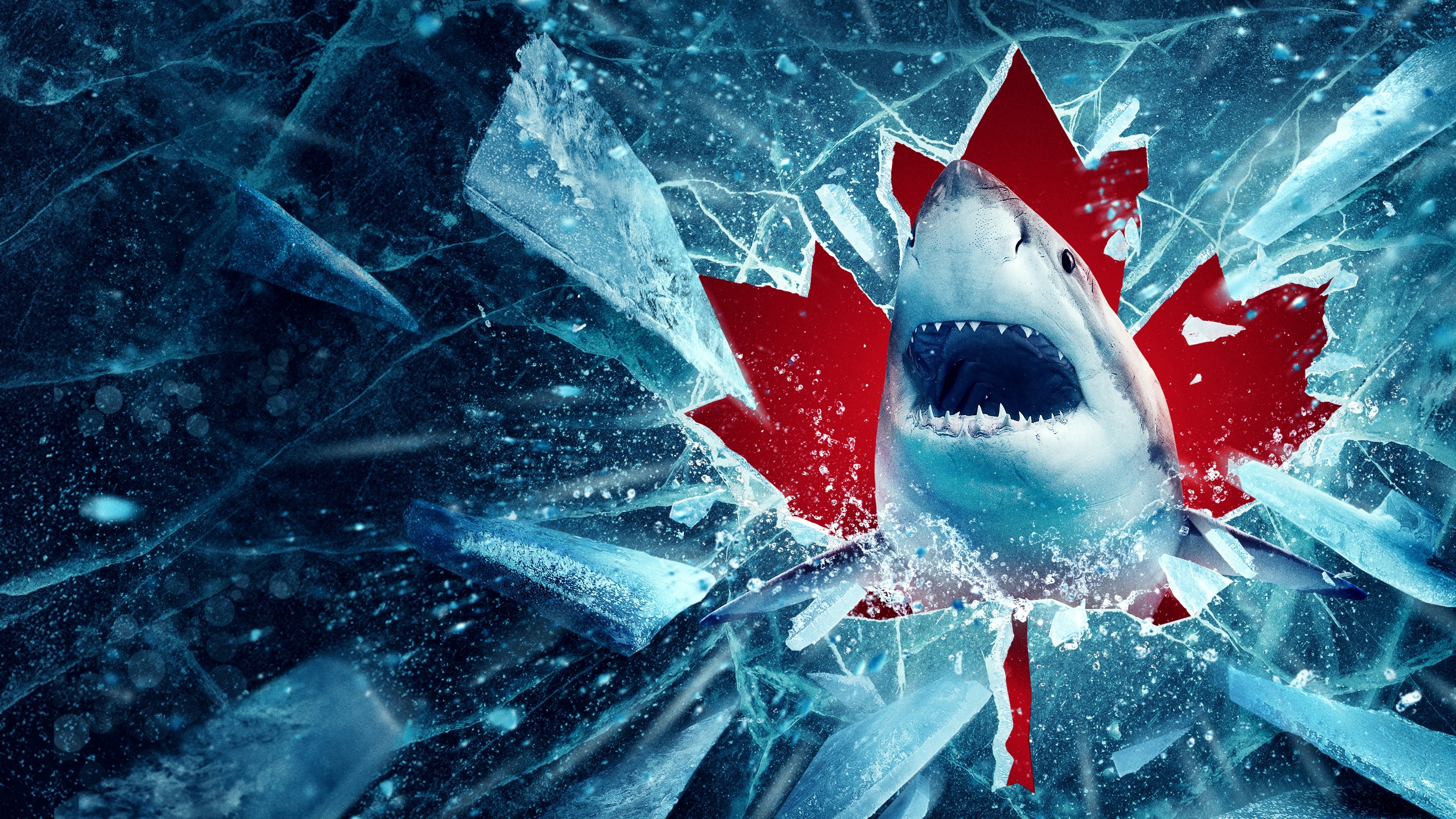 Backdrop for Great White North Invasion