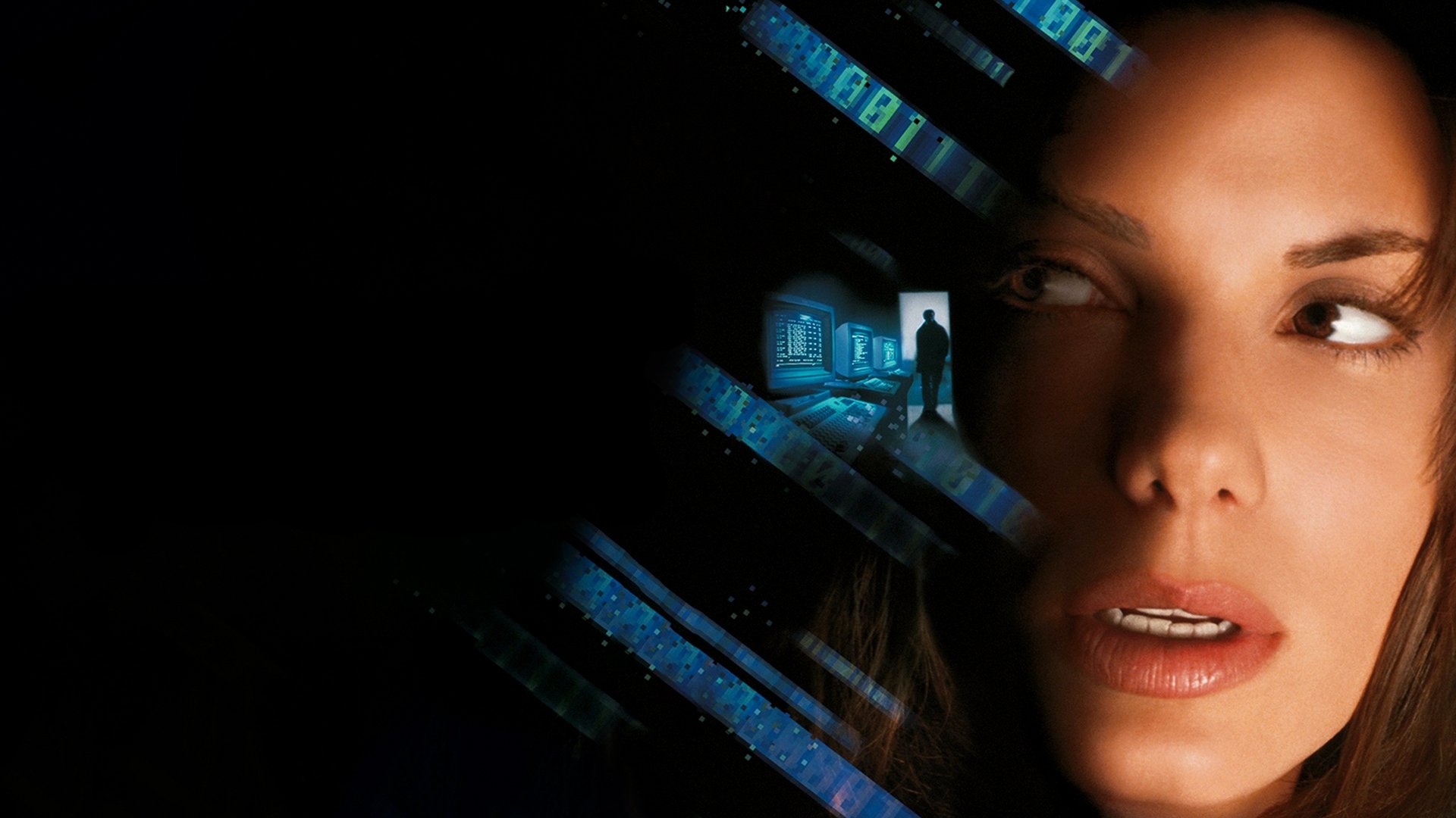 Backdrop for The Net