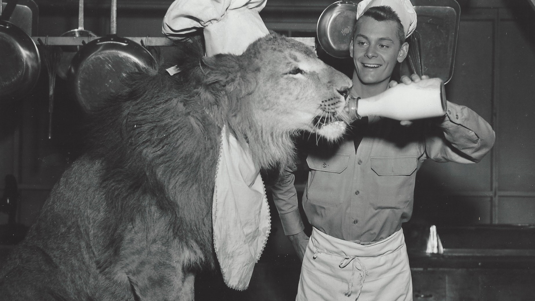 Backdrop for Fearless Fagan