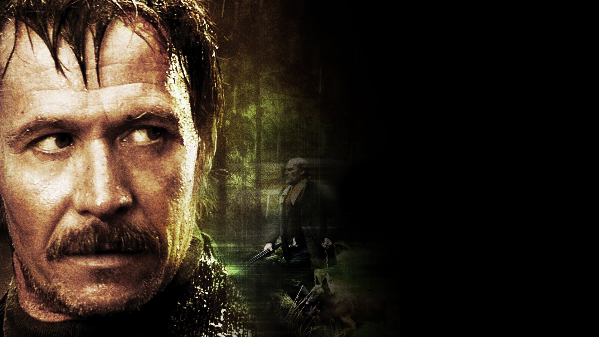 Backdrop for The Backwoods